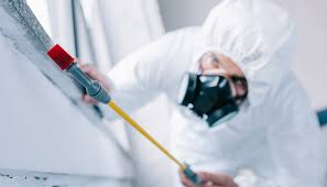 Best Pest Exclusion Services  in Gahanna, OH